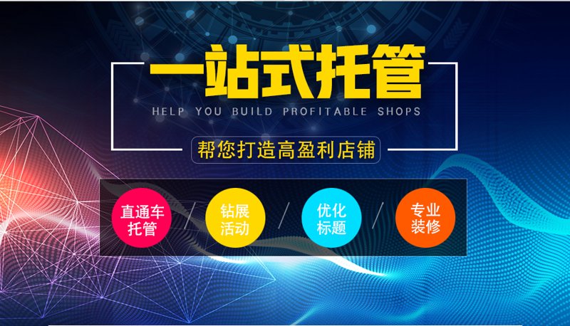 AI站群在电商行业的崛起与应用前景